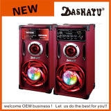 2.0 DJ Karaoke System PA Bluetooth Speaker (XD6-6013)