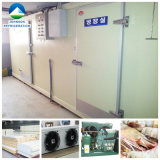 - 20 to -30 Centi-Degree Refrigerator Freezer for Seafood