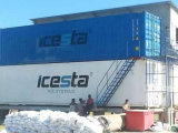 Containerized Compact Design Energy and Cost Saving Block Ice Machine Ice Maker for Block Ice 5ton/24h
