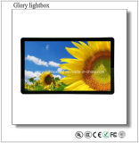 HD 1080P LCD Digital Signage Advertising Player