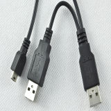 2 USB Am to Mini USB Spliter Cable