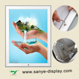 Popular Fashionable Lock Metal Picture Frame