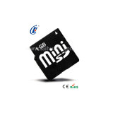 Mini Micro SD Hc Memory Card with 1GB Full Capacity (DC-1029)