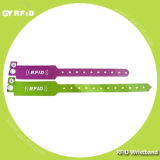 Wrpp Ntag215 13.56MHz RFID Disposable Wristband for Music Festival (GYRFID)