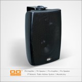 OEM PA System Speaker with CE