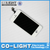 Consumer Electronic Mobile Phone LCD for iPhone 5s LCD with Touch Screen
