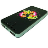 Multi-Function Powerbank for iPhone, iPad, Mobile Phone, Digital Products (PW940)