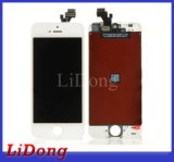Hot Selling Smartphone LCD Display for iPhone 5g