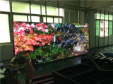Pretty and Colorful LED Display for Indoor