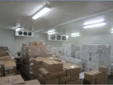 High Quality Factory Supply Cold Room Cold Storage