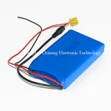 12V 5ah Lithium Polymer Battery for Medical Infusion Pump