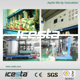 Icesta Industrial Ice Makers (IF20T-R4W)