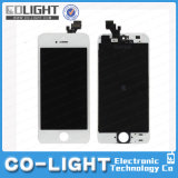Mobile Phone LCD for iPhone 5/Mobile Phone Part/Phone LCD/Cell Phone LCD