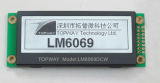 LCD Display for Audio Player (LM6069D)
