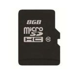 Free Shipping 8GB Class 10 Micro SDHC Card