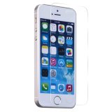 0.3mm 2.5D Round Edge Oleophobic Coating 9h Tempered Glass LCD Screen Protector for iPhone5, OEM/ODM
