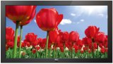 47'' HD LCD Digital Advertising Display with Big Screen