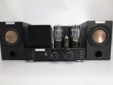Vacuum Tube Amplifier with Bluetooth, with Speaker