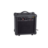 Profesional Acoustic Amplifier (GM-210A)
