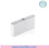 Dual USB Port High Efficiency Power Bank with LED Indication