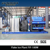 5t/Day Fresh Water Flake Ice Machine/ Flake Ice Maker