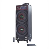 Stage Speaker Rechargeble Battery Wood Speaker (6100t)