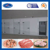 -20c for Meat: Cold Room Refrigerator