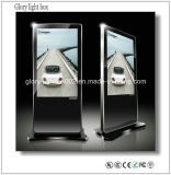 55'' HD High Quality 1920X1080 LCD Display