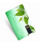 Card USB Flash Drive (NS-535)
