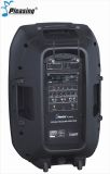 Portable Amplifier Multi-Function PA Speaker Pl-9936 High Power