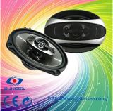 New Pioneer Style Car Audio Speaker (CS-6904), Car Audio Speaker, Car Speaker