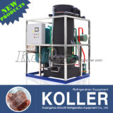 Large Capacity 10 Tons Tube Ice Maker with PLC Control System