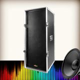 QS-212g Professional Sound Subwoofer System Loudspeaker