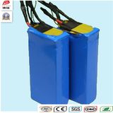 72V 40ah Li-ion LiFePO4 Battery Lithium Ion Battery