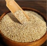 Good Quality Sesame at Lowest Price for Sale/ White Sesame