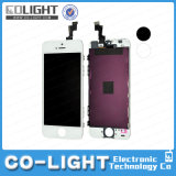 Hot Selling Cell Phone LCD for iPhone 5s/Original Cell Phone LCD/LCD Touch Screen/Accept Paypal