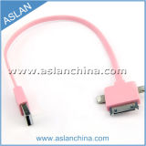 Hottest USB Charger Data Cable for Mobile Phone (ACM-022)
