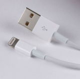 Date Cable for iPhone 5