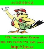 TNT/UPS/1PS/EMS/FedEx (75% off) International Express Door to Door