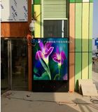 Outdoor Advertising LED Display