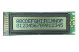 Digital LCD Display (CM162-15)
