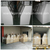 White Color Ice Refrigerator 380L for Outdoor Use