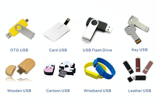 New Design Hot Sell Promo USB