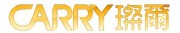 Shenzhen Carry Technology Co., Ltd. 