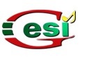 Shenzhen Geshi Electronic And Technology Co., Lth