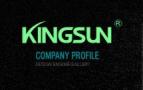 Dongguan Kingsunning Electronic Technology Ltd