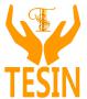 Shenzhen Tesin Electronic Co., Ltd.(China)