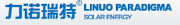 Shandong Linuo Paradigma Co. Ltd