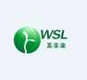 Shenzhen WSL Technology Co., Ltd.