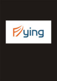 Flying Car Electronic Co., Ltd.